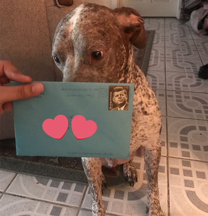 El exmarido de esta mujer aún le envía cada año un regalo de cumpleaños a su perro