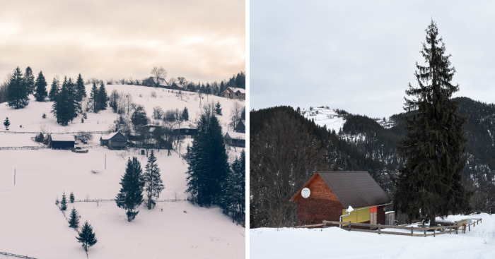 Beautiful Winter Around Us