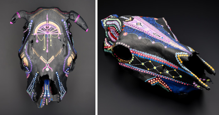 I Help Dead Animals To Reborn