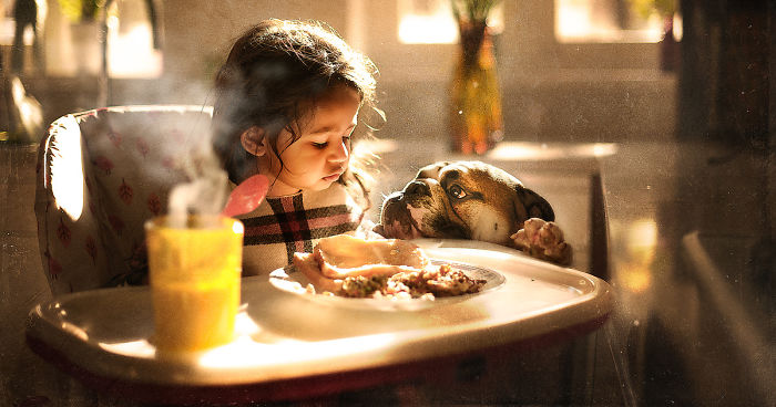 I Tried Photographing My Daughter And My Dog And This Is What Happened