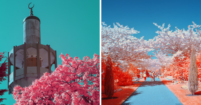 I Captured The Arrival Of Spring On London In Ultracolour