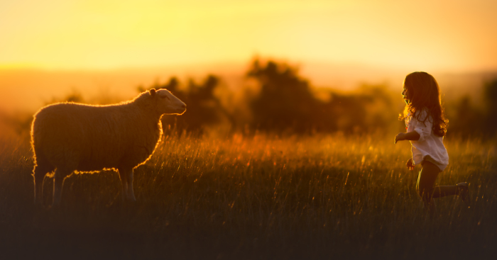 My Town Sent Sympathetic Messages When I Said “It’s A Girl”