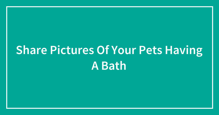 Share Pictures Of Your Pets Having A Bath