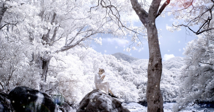 I Photographed Hong Kong Shing Mun Reservoir With Ir Filter