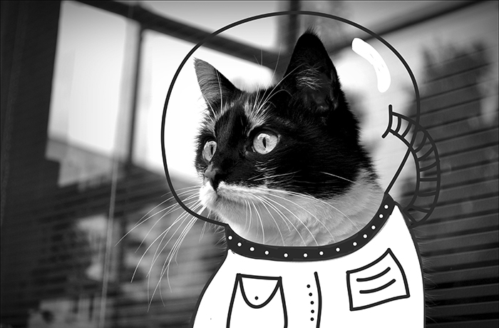 Ready For The Mission