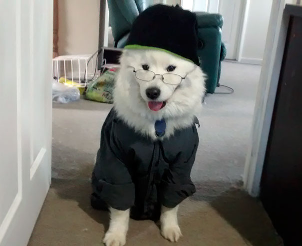 I Leave My Partner Alone With Our Dog For Five Minutes And He Sends Me This