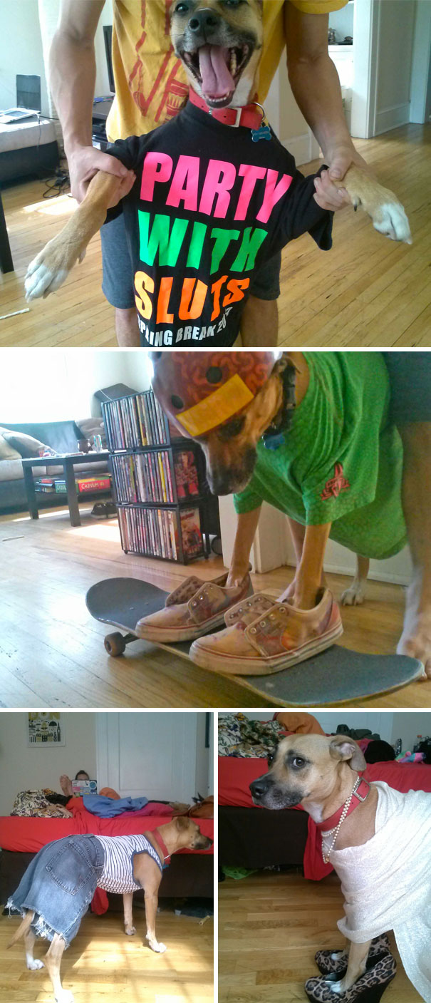 My Buddy Watched My Dog While I Was Away. I Awoke To These