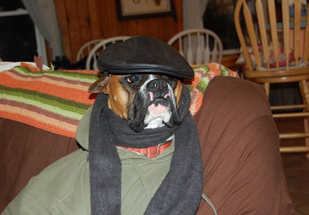 So My Aunt Left My Uncle Alone With Their Dog