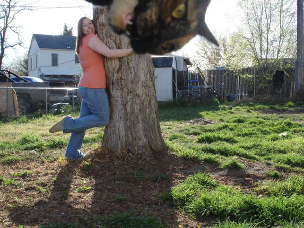 Funny Cat Photobombs