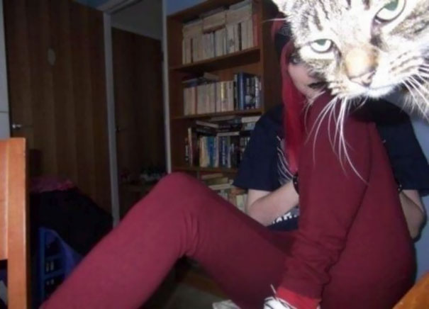 Funny Cat Photobombs