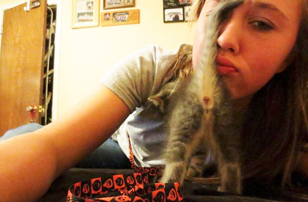 Funny Cat Photobombs