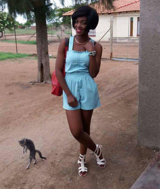 Funny Cat Photobombs