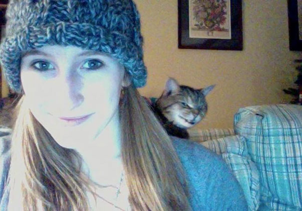 Funny Cat Photobombs