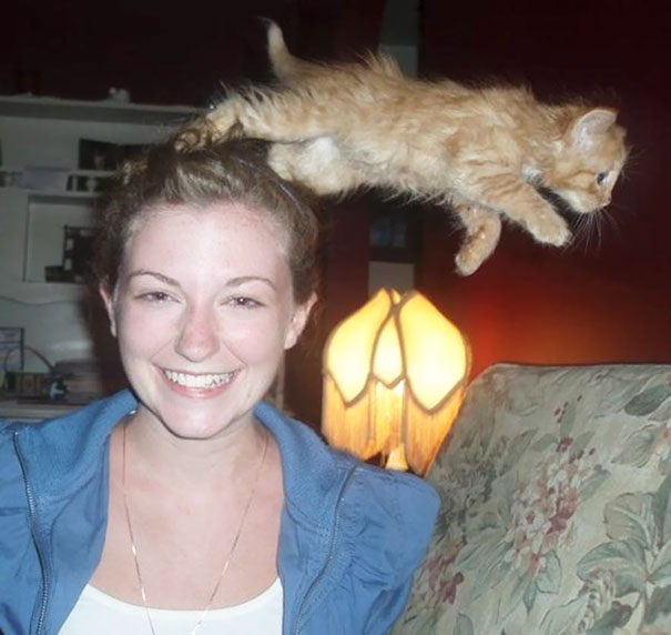Funny Cat Photobombs