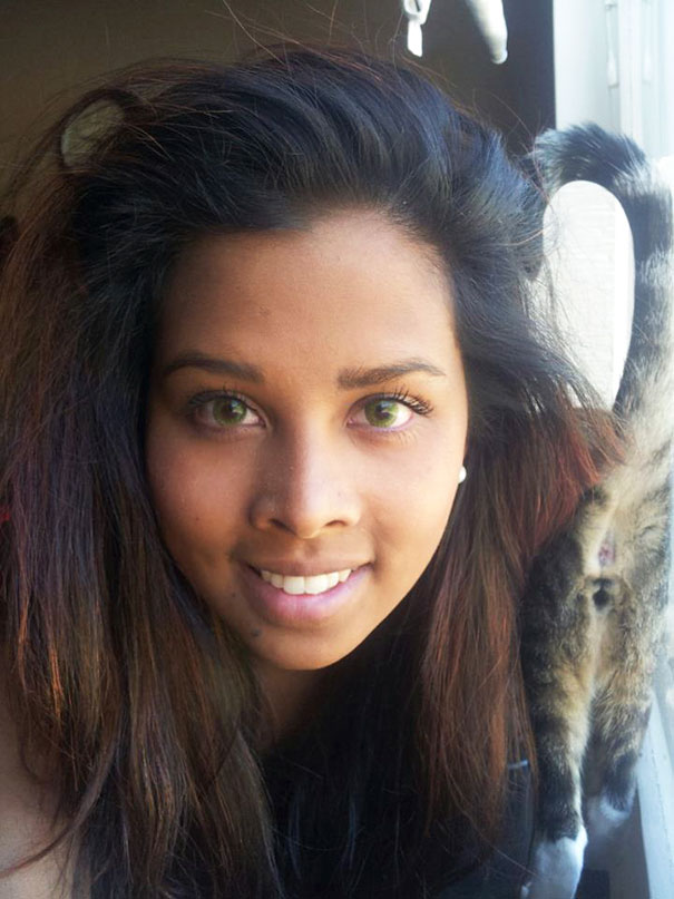 Funny Cat Photobombs