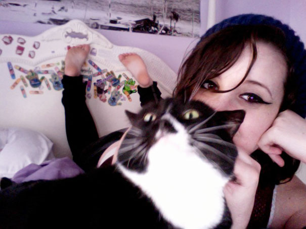 Funny Cat Photobombs