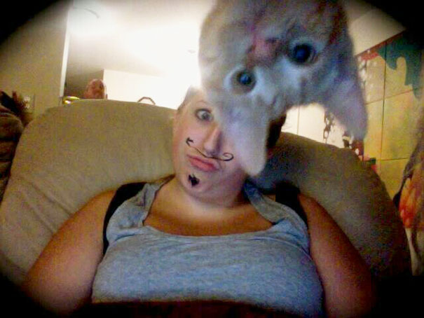 Funny Cat Photobombs