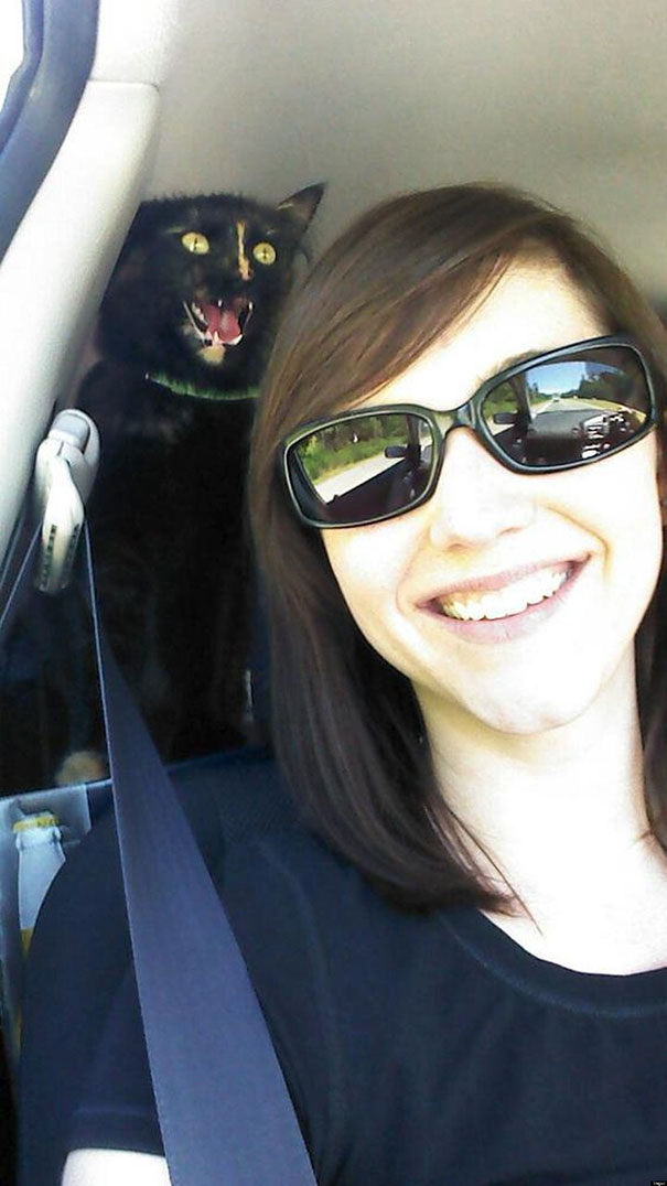 Funny Cat Photobombs