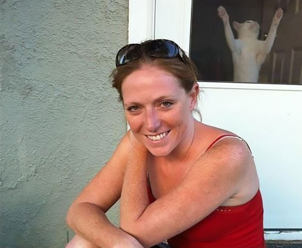 Funny Cat Photobombs