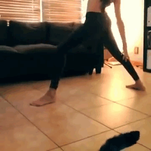 Funny Cat Photobombs