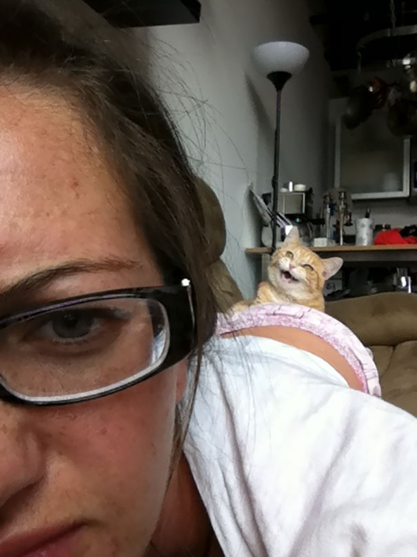 Funny Cat Photobombs