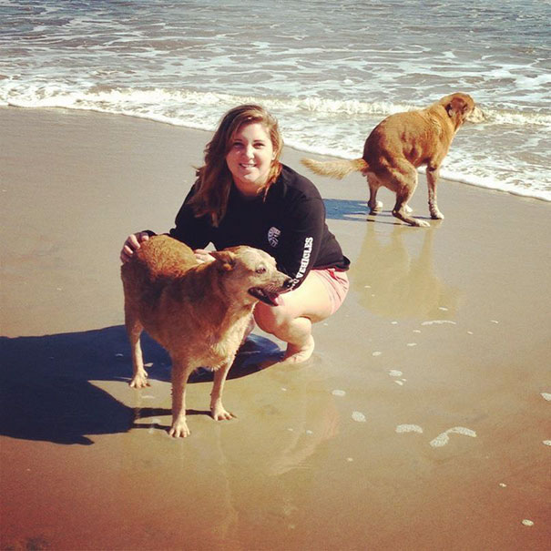 Funny Dog Photobombs