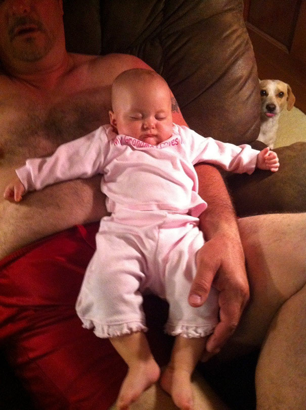 Funny Dog Photobombs