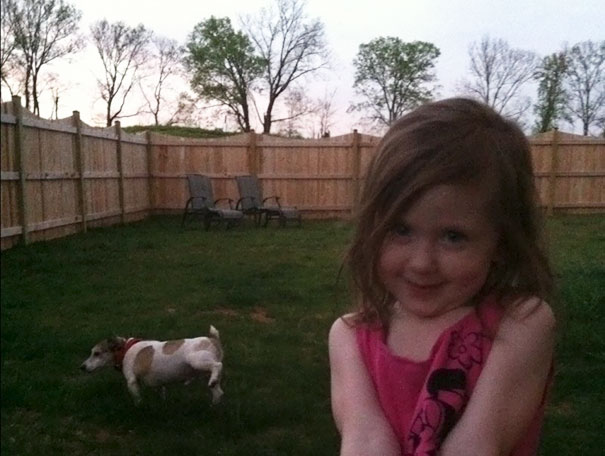 Funny Dog Photobombs