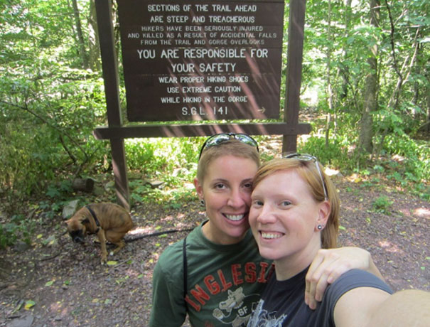 Funny Dog Photobombs