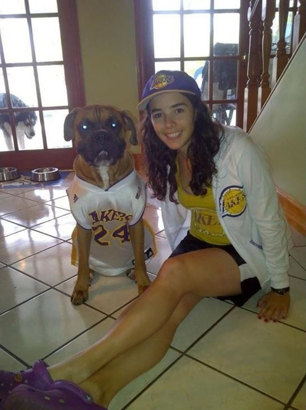 Funny Dog Photobombs