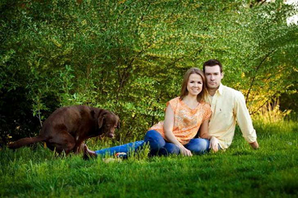 Funny Dog Photobombs