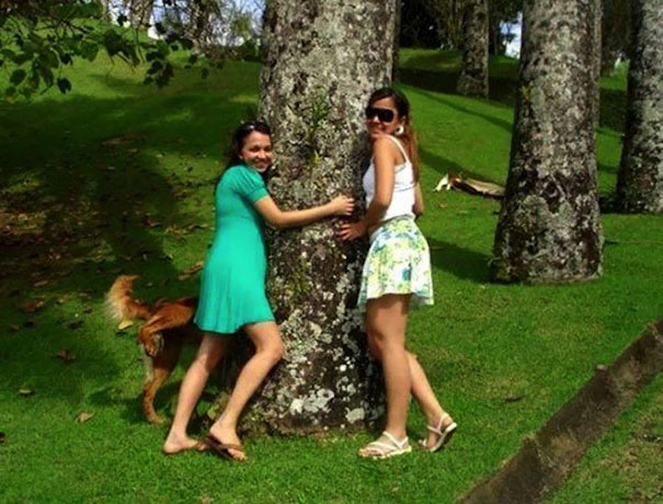 Funny Dog Photobombs