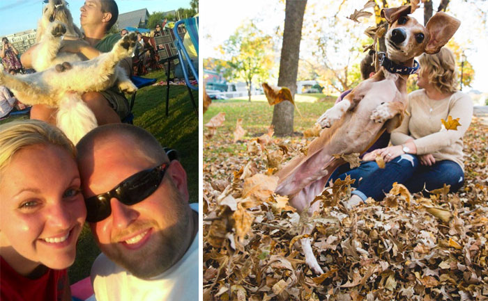 10+ Perros haciendo photobomb en fotos ajenas