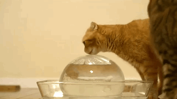 Foot Why Have You Betrayed Me????