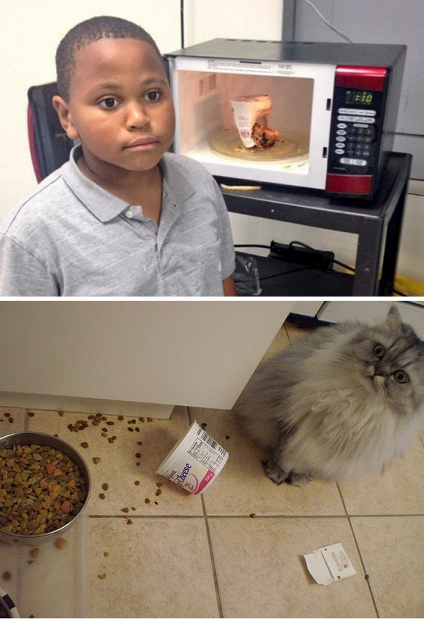 My Cat Tipped Over The Food Scoop Into His Water Bowl During The Night. The Picture I Took Reminded Me Of A Certain Someone