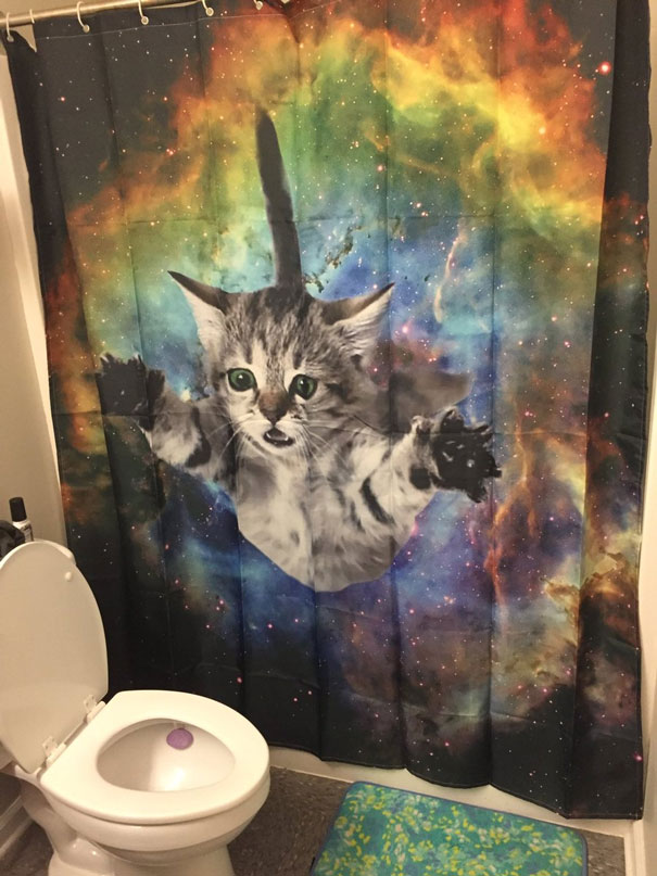 Let's All Take A Minute To Appreciate This Drunk Amazon Purchase