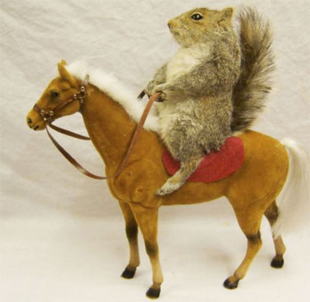 This Was My Best Drunk Ebay Purchase