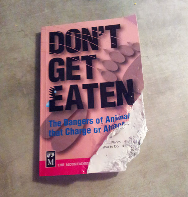 The Irony Is Strong In This One