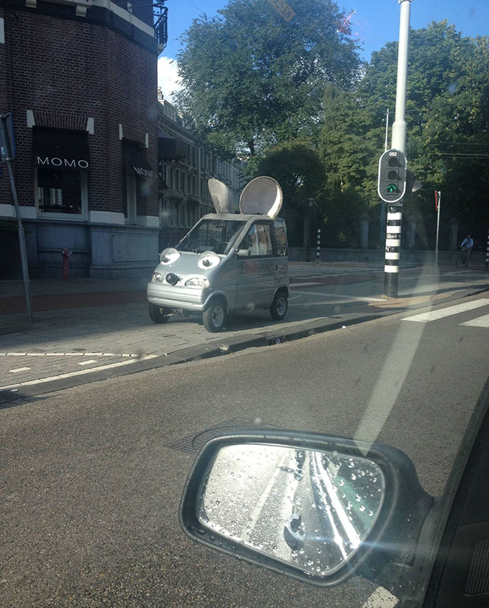 Biggest Ones I've Ever Seen