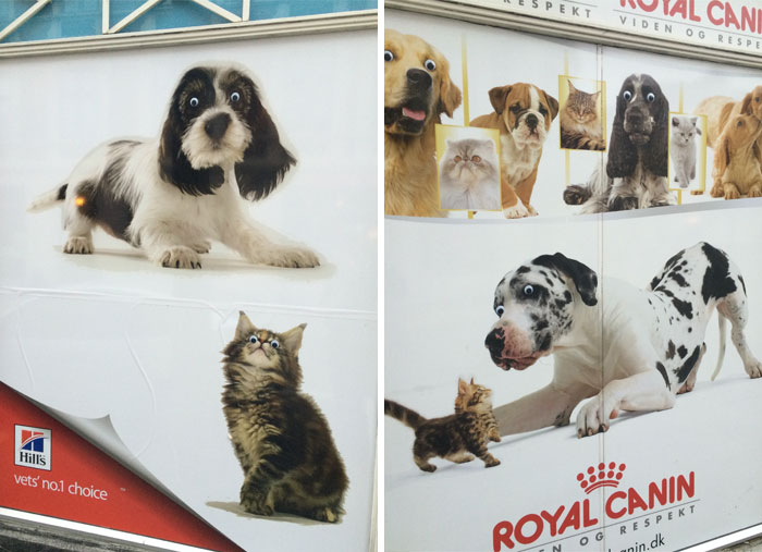 My Local Pet Store Was Vandalized