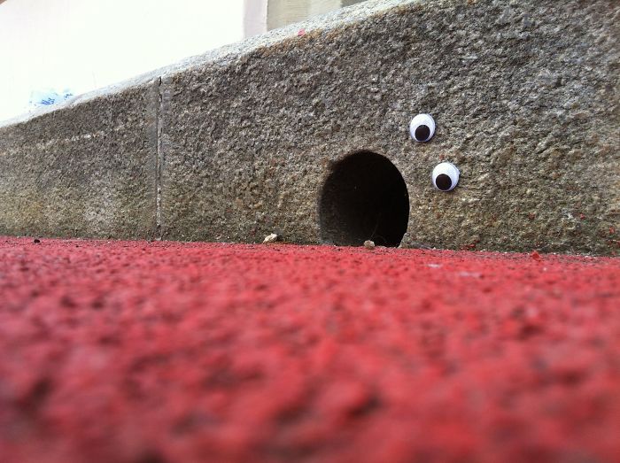 Eyebombing