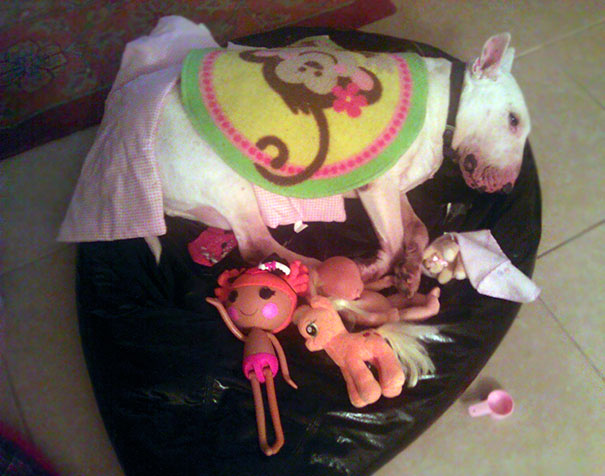 This Is What Happens When I Leave My Daughter Alone With My Dog