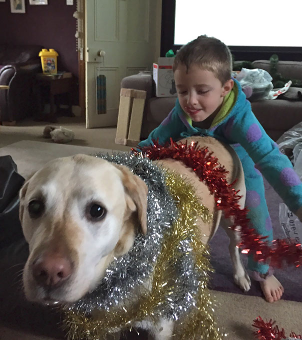 My Nephew Decorating The Dog