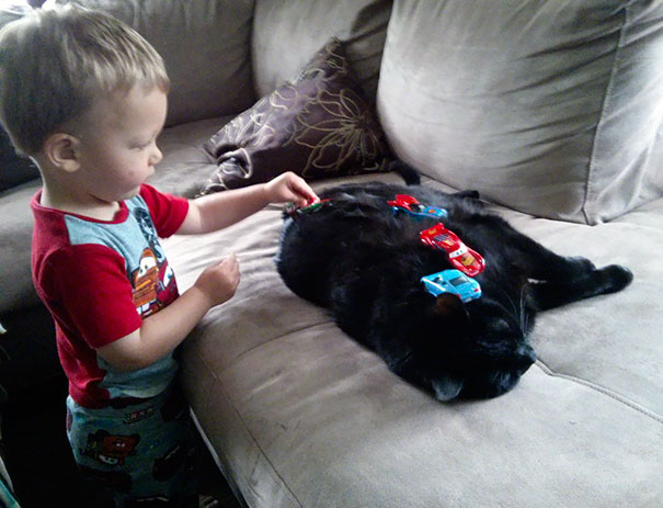 When It Comes To My Son, My Cat Is Such A Good Sport