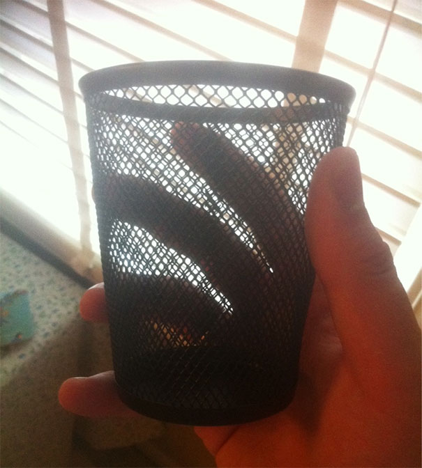 I'm Off To College. My Mom Handed Me This And Told Me This Is The Only Cup I Can Drink Beer/Alcohol Out Of