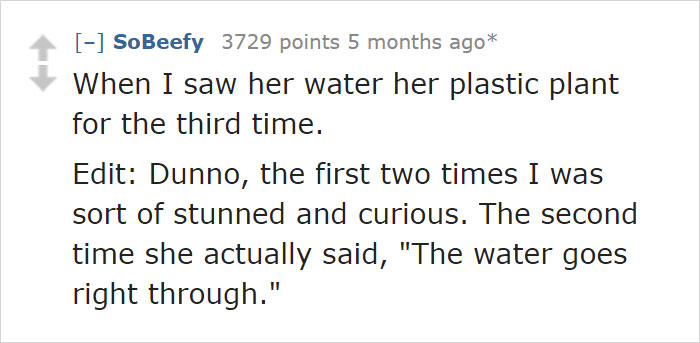 Text post about realizing someone watered a plastic plant multiple times.