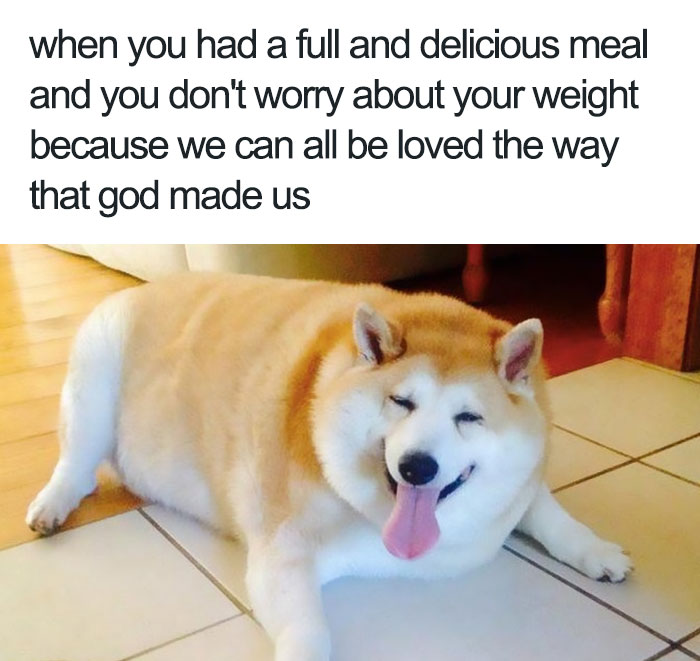 Wholesome Meme