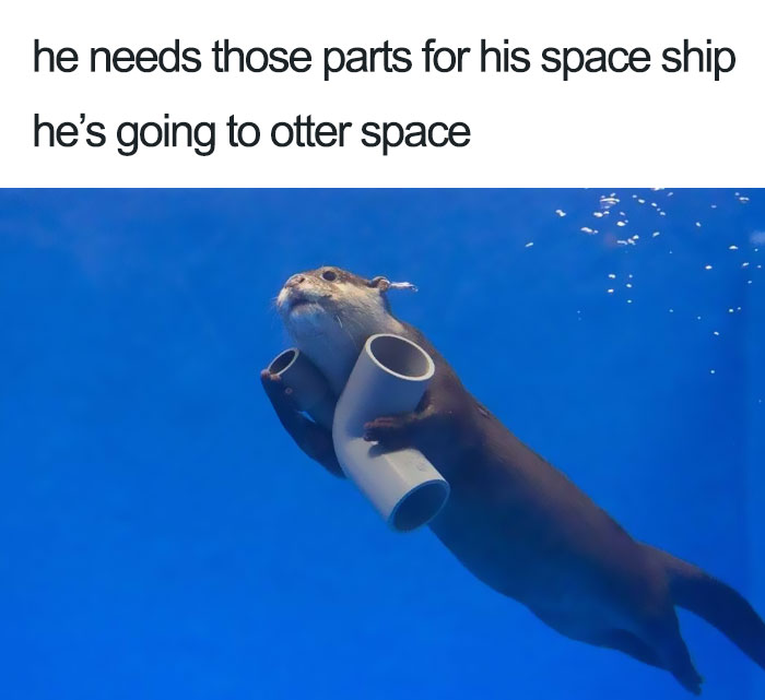 Otter holding pipes underwater with text about space, featuring a playful animal meme.