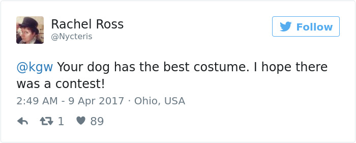 furry-convention-mother-brings-dog-link-11 furry-convention-mother-brings-dog-link-11