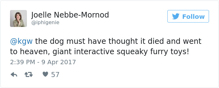 furry-convention-mother-brings-dog-link-12